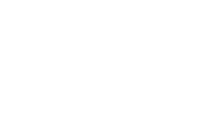 IJVR